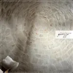 Trullo Eliana Σπίτι διακοπών Αλμπερομπέλο